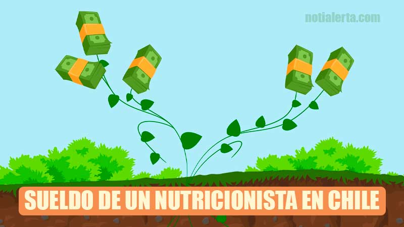 el sueldo remuneracion de un nutricionista en chile